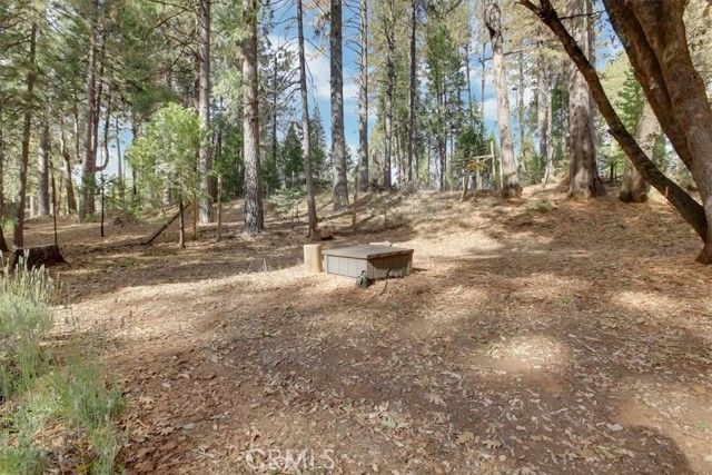11696 Lower Colfax Rd, Grass Valley, CA | . Photo 53 of 60