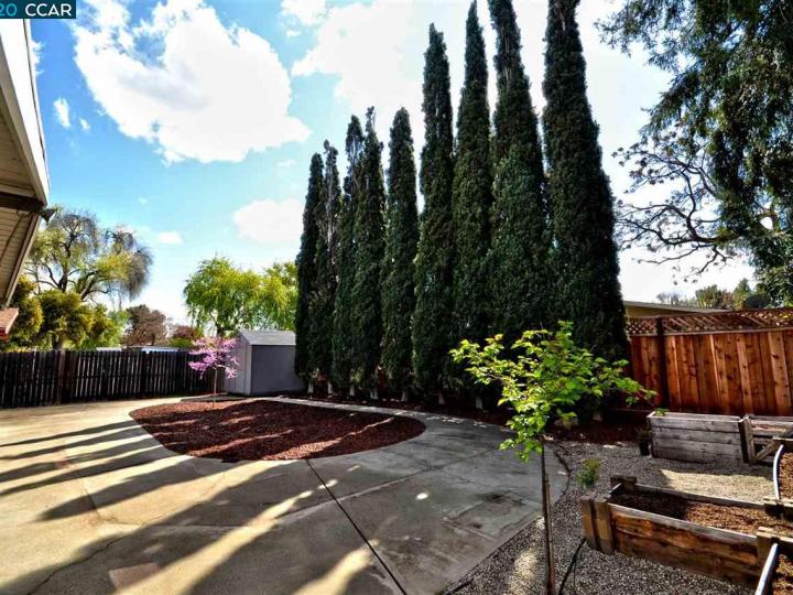 1221 Spruce St, Livermore, CA | Old North Side. Photo 23 of 30