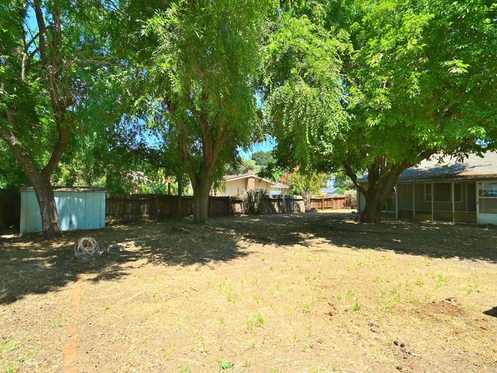 1531 Pear Dr, Concord, CA | Tree Haven. Photo 13 of 30