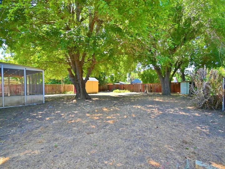 1531 Pear Dr, Concord, CA | Tree Haven. Photo 16 of 30