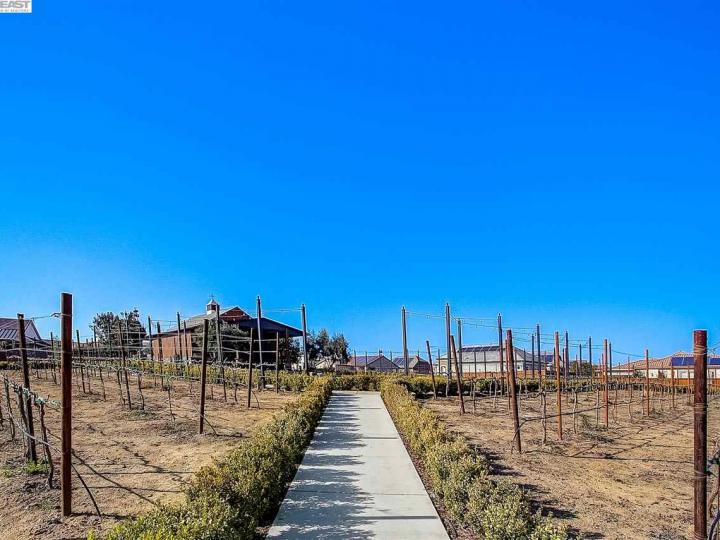 1591 California Trl, Brentwood, CA | Trilogy Vineyards. Photo 38 of 40