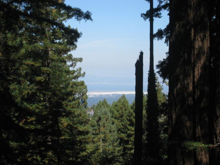 27 Big Tree Way Woodside CA. Photo 1 of 34