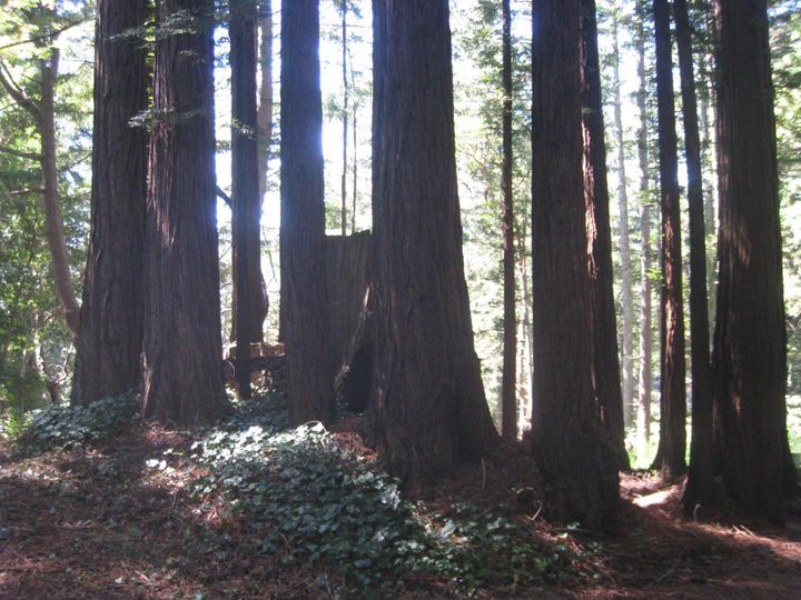 27 Big Tree Way Woodside CA. Photo 15 of 34