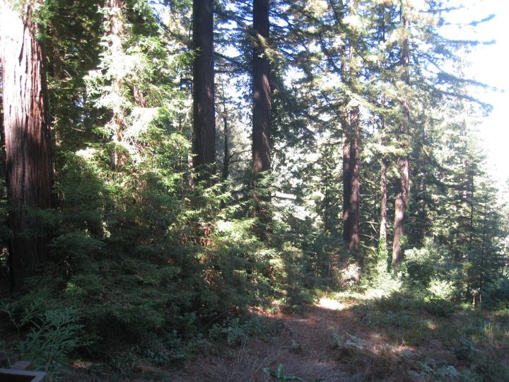 27 Big Tree Way Woodside CA. Photo 16 of 34