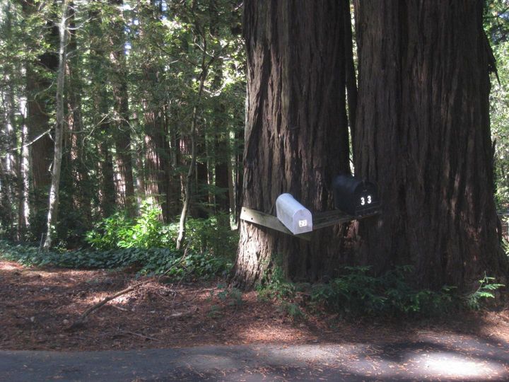 27 Big Tree Way Woodside CA. Photo 19 of 34