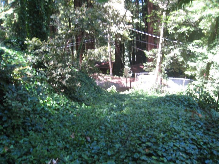 27 Big Tree Way Woodside CA. Photo 20 of 34