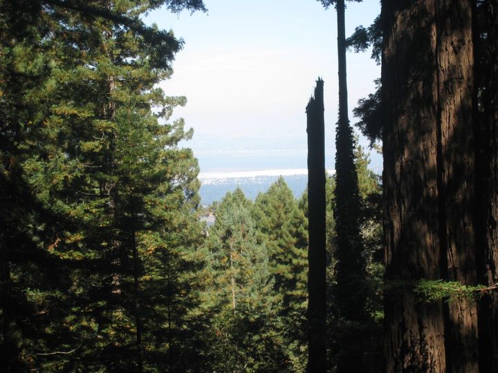 27 Big Tree Way Woodside CA. Photo 3 of 34