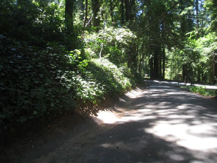 27 Big Tree Way Woodside CA. Photo 23 of 34