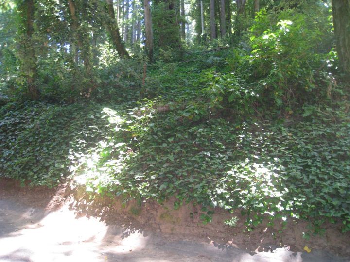 27 Big Tree Way Woodside CA. Photo 24 of 34