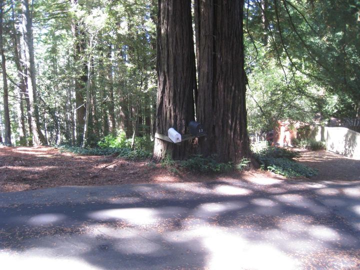27 Big Tree Way Woodside CA. Photo 4 of 34