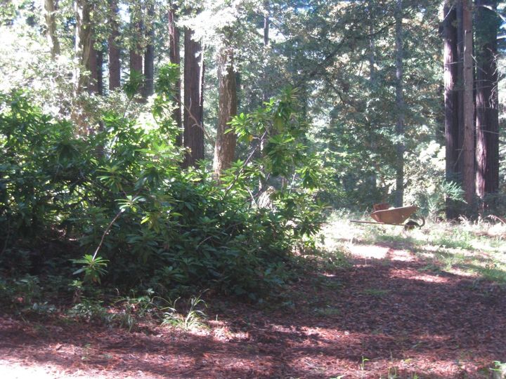 27 Big Tree Way Woodside CA. Photo 6 of 34