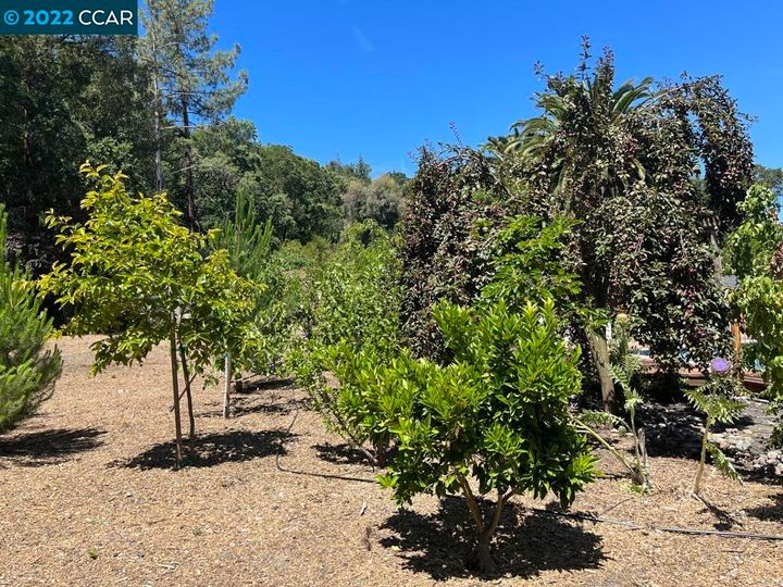 3219 Andreasen Dr, Lafayette, CA | Trails Area. Photo 29 of 29