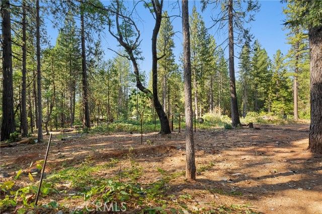 3345 Forbestown Rd, Oroville, CA | . Photo 52 of 60