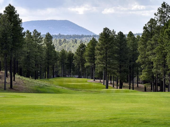 4115 S Pack Saddle, Flagstaff, AZ | Residential & Mobile. Photo 30 of 55