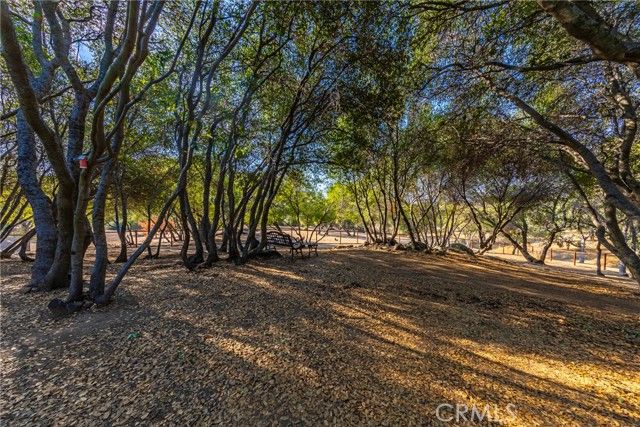 47452 Veater Ranch Rd, Coarsegold, CA | . Photo 36 of 48