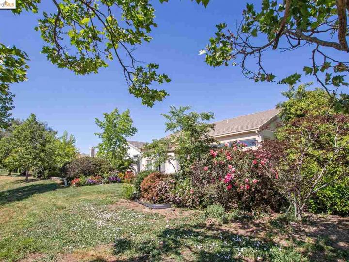 531 Central Park Pl, Brentwood, CA | Summerset 1 | No. Photo 37 of 38