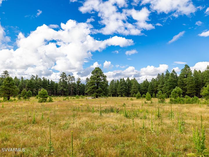 9644 Forest Service 9009d Rd, Flagstaff, AZ | 5 Acres Or More. Photo 40 of 77
