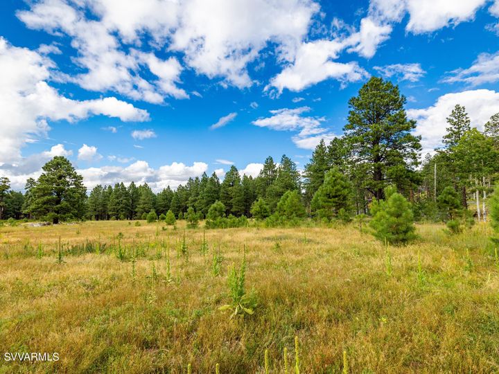 9644 Forest Service 9009d Rd, Flagstaff, AZ | 5 Acres Or More. Photo 41 of 77