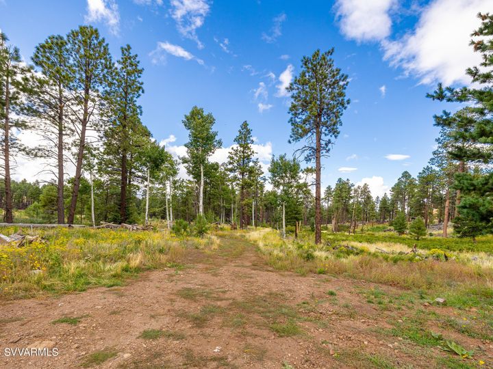 9644 Forest Service 9009d Rd, Flagstaff, AZ | 5 Acres Or More. Photo 58 of 77