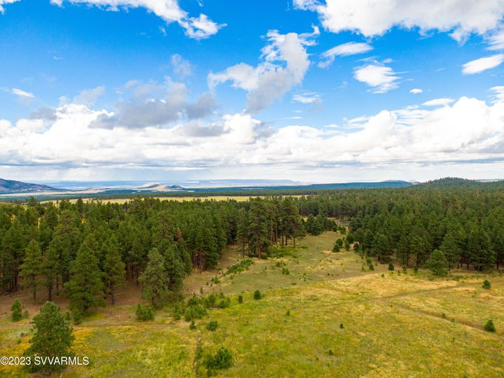 9644 Forest Service 9009d Rd, Flagstaff, AZ | 5 Acres Or More. Photo 64 of 77