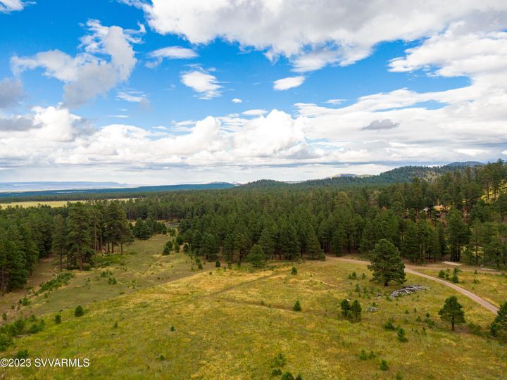 9644 Forest Service 9009d Rd, Flagstaff, AZ | 5 Acres Or More. Photo 65 of 77