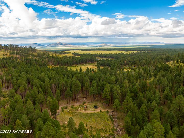 9644 Forest Service 9009d Rd, Flagstaff, AZ | 5 Acres Or More. Photo 67 of 77