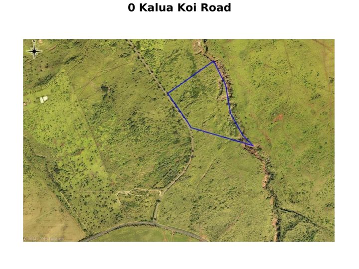 Kalua Koi Rd Maunaloa HI. Photo 27 of 27