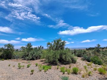 002 S Camino Real Rd, Cottonwood, AZ | 5 Acres Or More. Photo 6 of 13