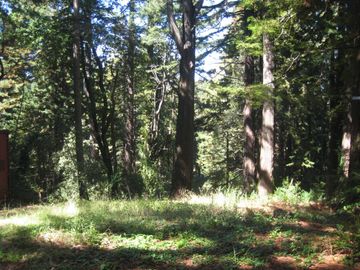 27 Big Tree Way Woodside CA. Photo 5 of 34