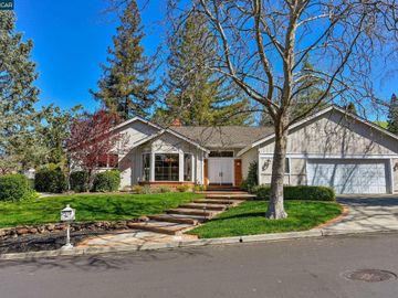 316 Red Maple Dr, Silver Maple, CA
