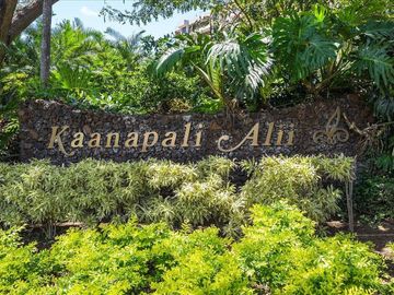 Kaanapali Alii condo #II-401. Photo 3 of 46
